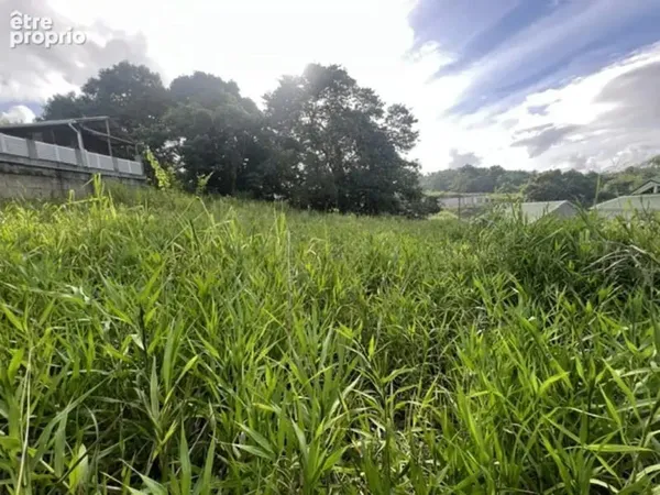 A vendre terrain de 1639m² quartier habitation grande savane ducos