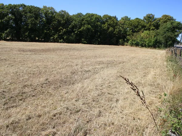 Terrain constructible 5 762 m2 AVANTON (86170)