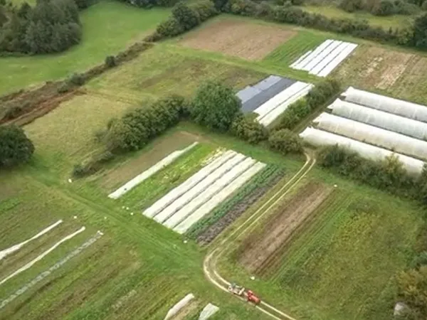 Ferme maraîchère bio