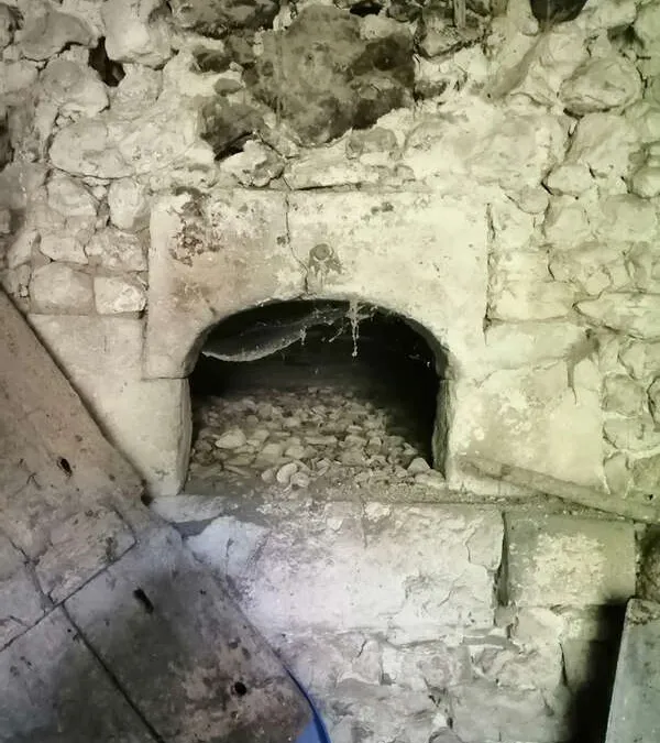 Photo 5