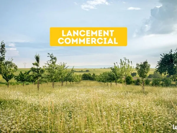 Terrain 602 m² Schwobsheim