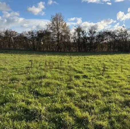 Terrain 652 m²