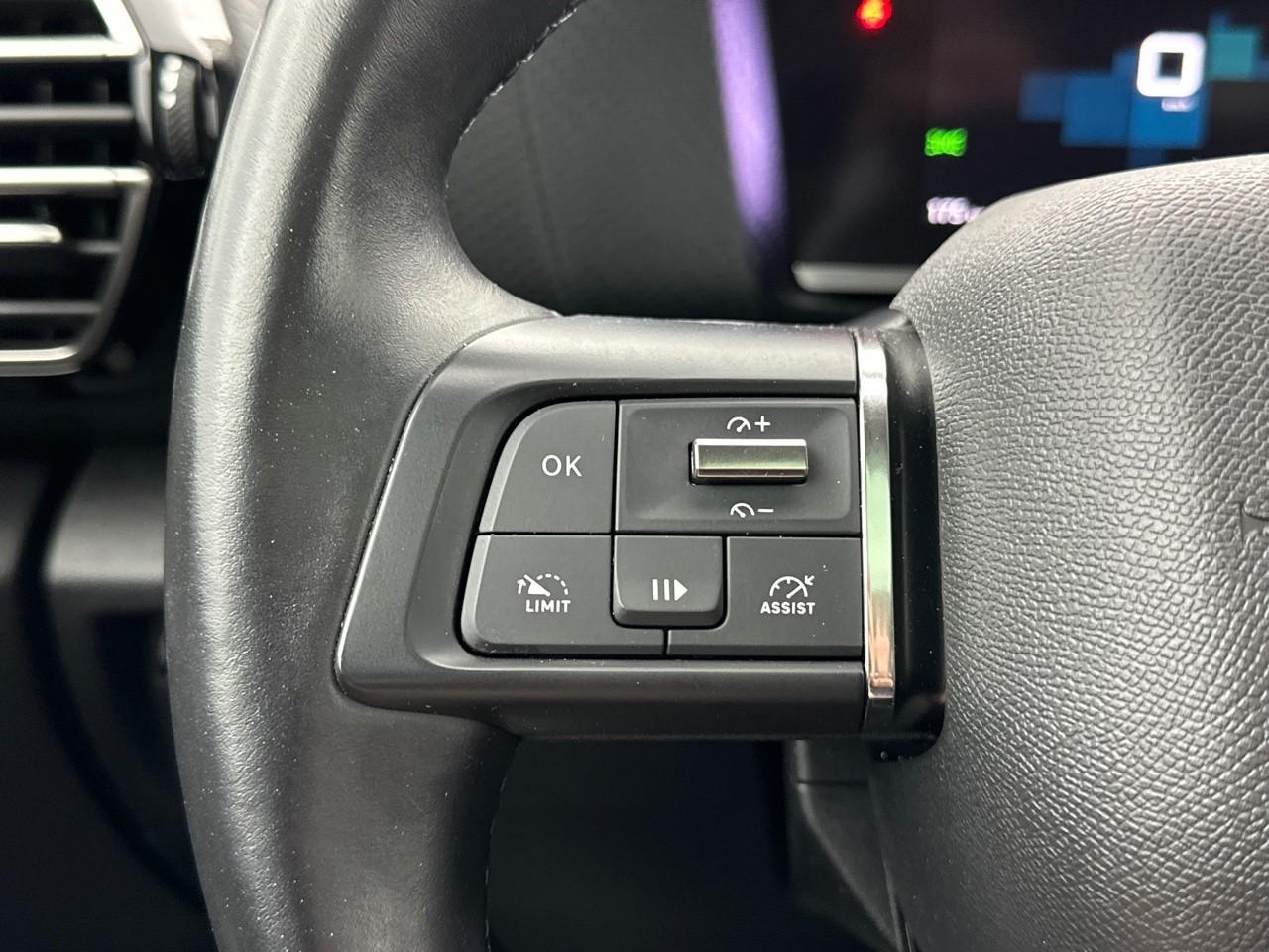 Citroën C4 bluehdi 110 s&s bvm6 shine — photo 20