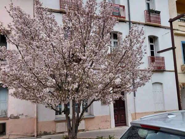T2 très beau Amelie les Bains entièrement rénové