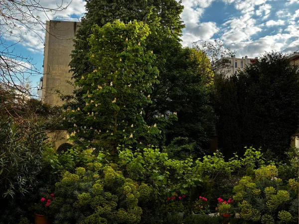 A vendre studette en rez de jardin proche du métro pont de Neuilly