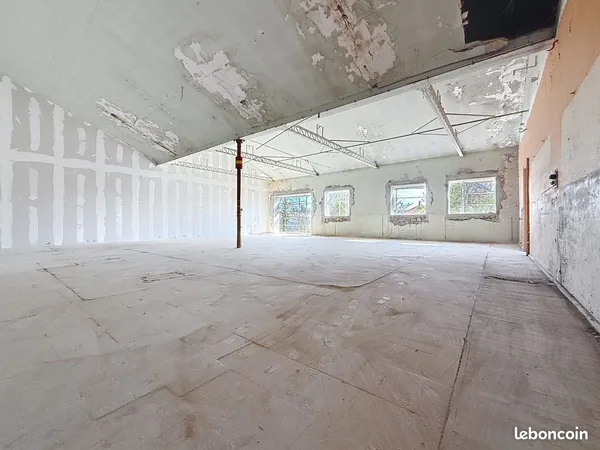Loft 5 pièces 149 m²