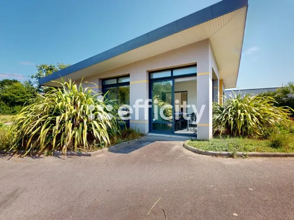 Bureau 3 pièces 79 m²
