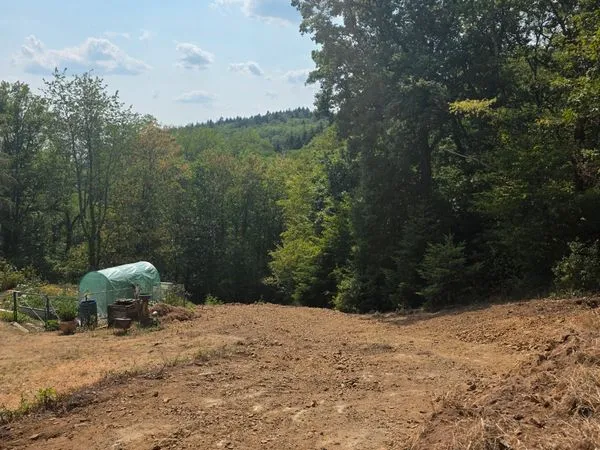 Terrain constructible à vendre environ Thann