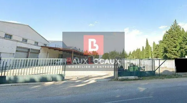 Local d'activité 1155 m²