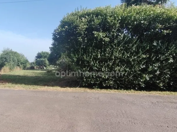 Terrain 2930 m²