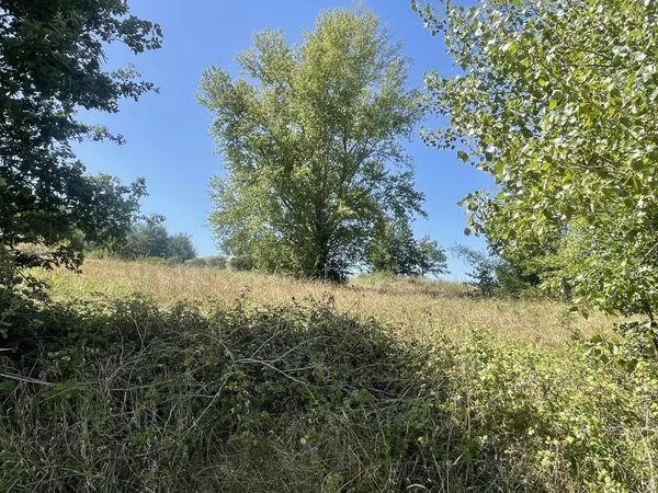 Terrain en individuel 2000 m²