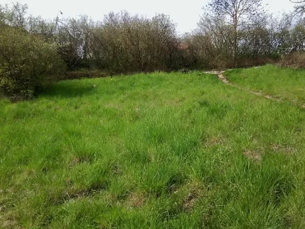 Terrain 599 m²