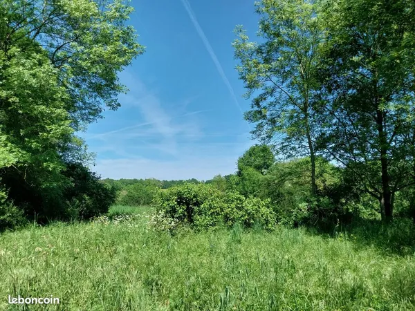 Terrain 16254 m² Roumazières-Loubert