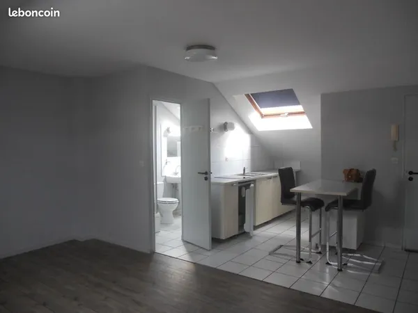 Reims type 1 bis 30 m2 centre/jaures imm ancien
