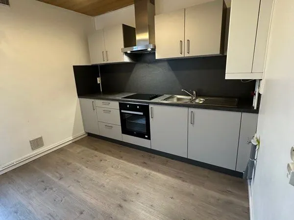 Appartement entièrement rénové