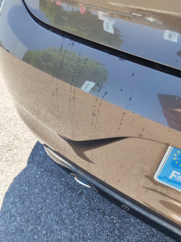 Renault Clio Blue dCi 115 — photo 26