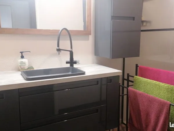 Colocation dans appartement T3