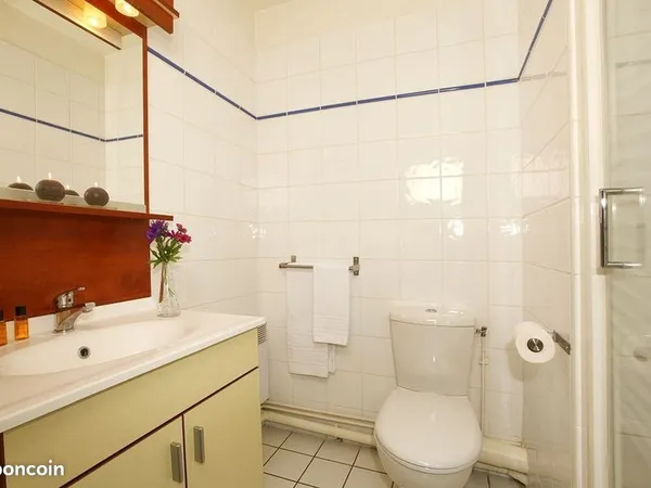 Studio 1 pièce 21 m²