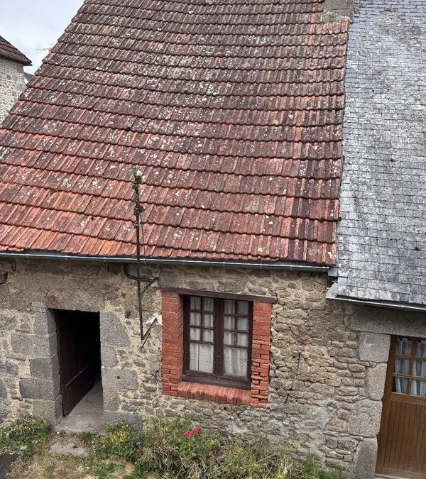 Photo 15