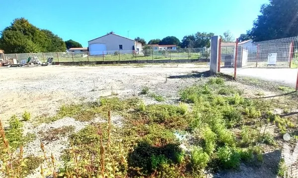 Terrain 598 m²