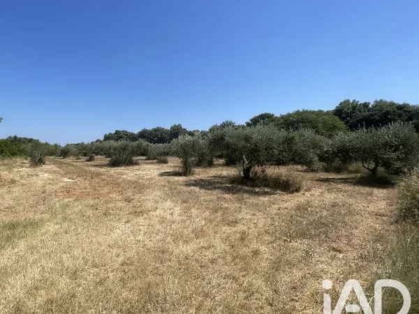 Terrain 1764 m²