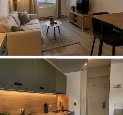 Appartement T1 bis meublé et rénové