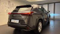 Lexus Ux 250h Pack Business Plus 2WD — photo 5