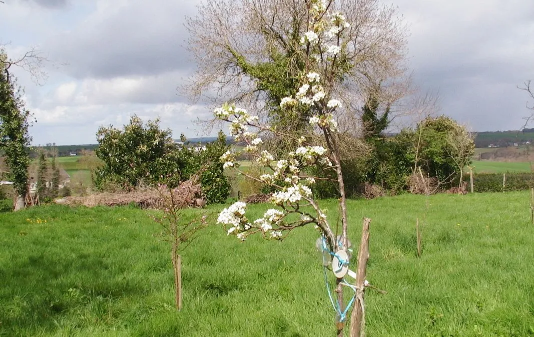 Photo 2