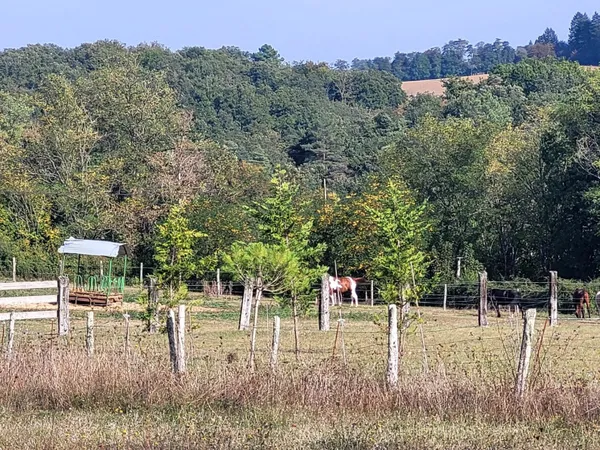 Terrain de loisir 90000 m²