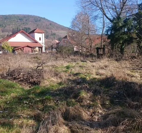 Terrain 1775 m² Buhl
