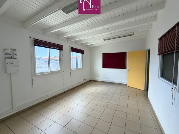 Local professionnel 21 m²