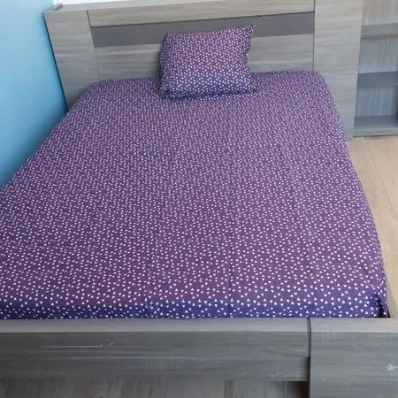 Chambre meublée