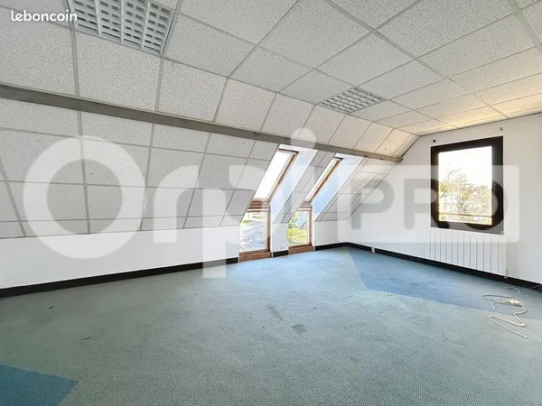 Bureau 100 m²