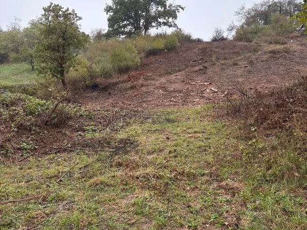 Terrains 4900m2