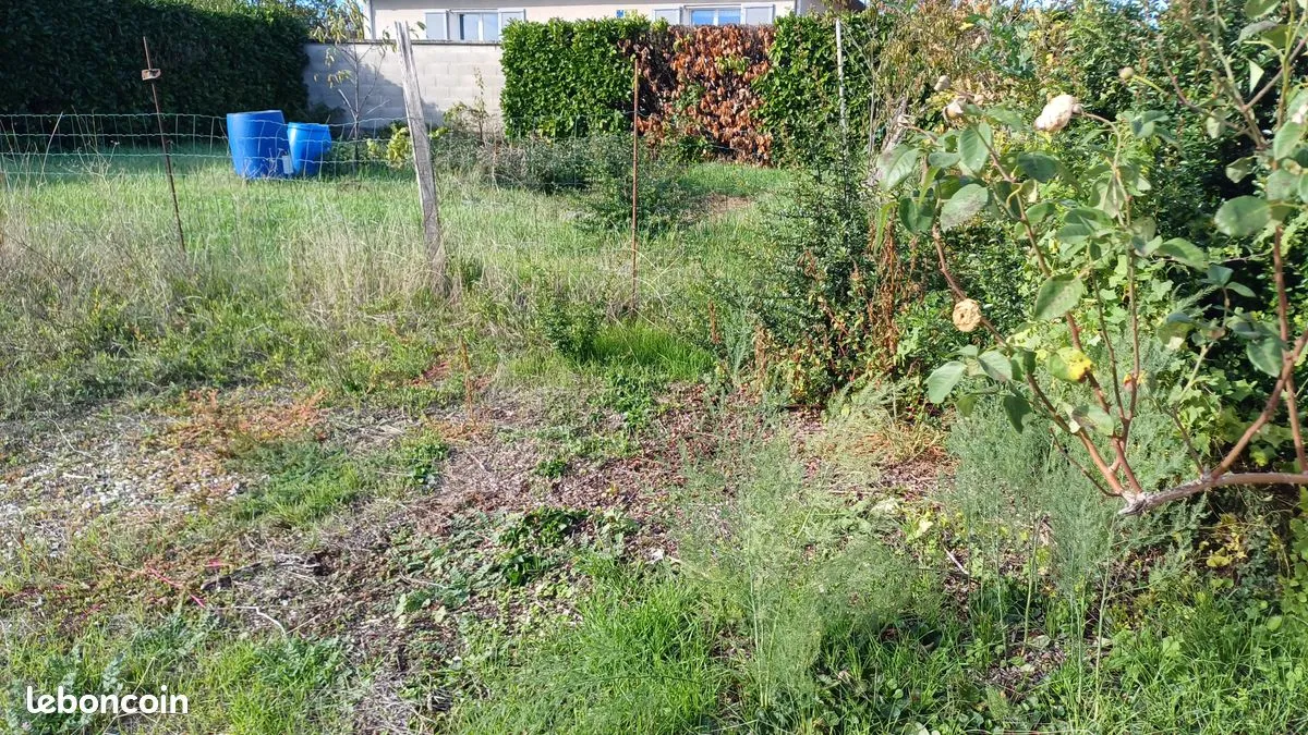 Photo 3