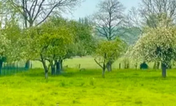 Terrain viabilisé prêt à construire - 2000 m²