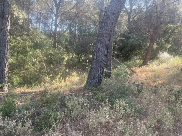 Terrain 510 m²