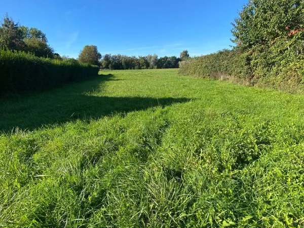 Terrain 6494 m²