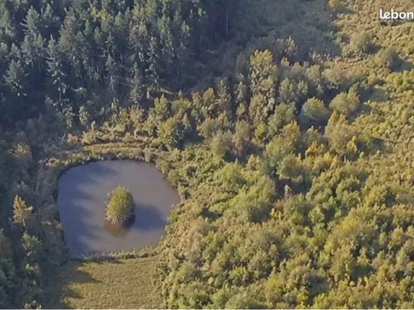 Terrain de près de 2 hectares avec 3 bassins - Aïssey (25360)