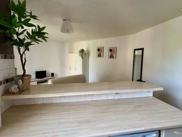 Appartement 1 pièce 29 m²