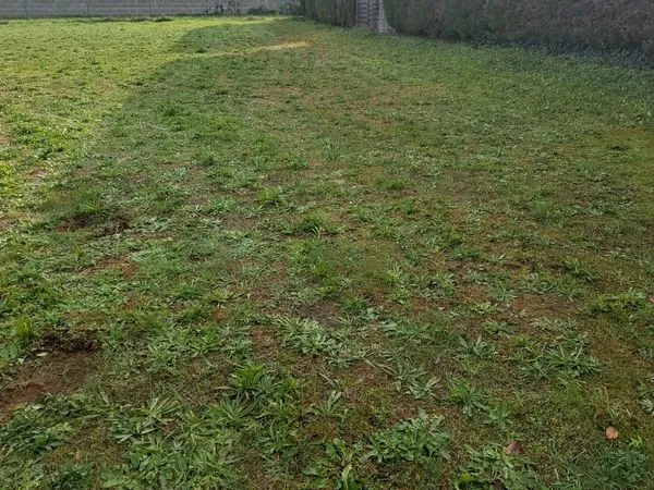 Terrain non constructible sur Fléac. [NA agricole]