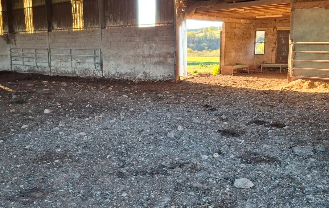 Photo 2