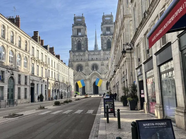 Local commercial 278 m²