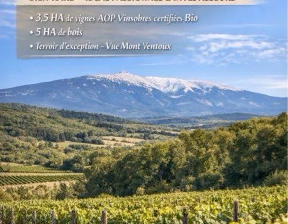 Terres Vignes sur Vinsobres AOC bio