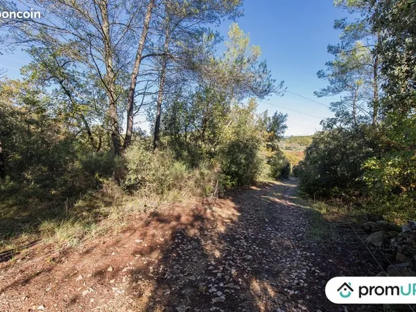 Terrain agricole 9 625 m² Le Cannet Des Maures