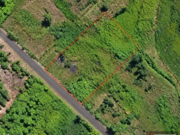 Terrain plat de 2 800 m² à La Plaine des Palmistes