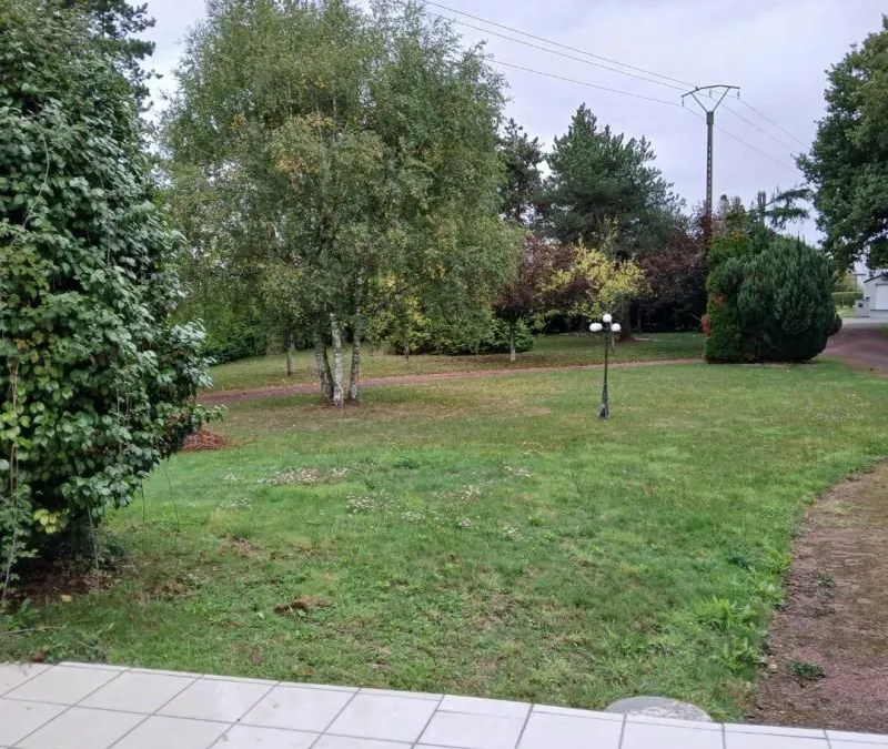 Photo 14