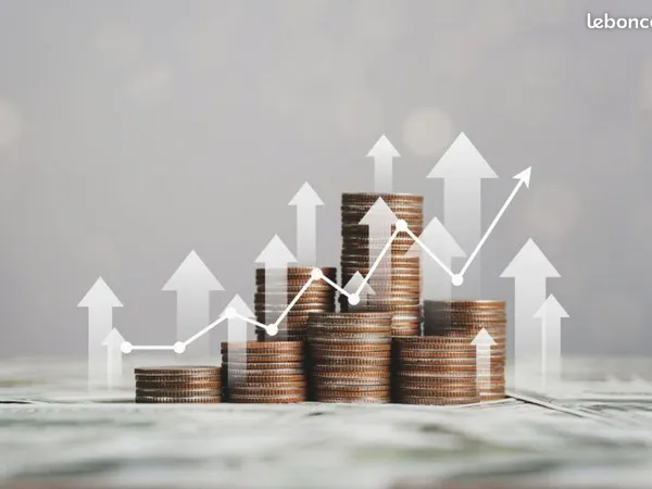 Pour Investisseur Local commercial loué rendement + de 8%