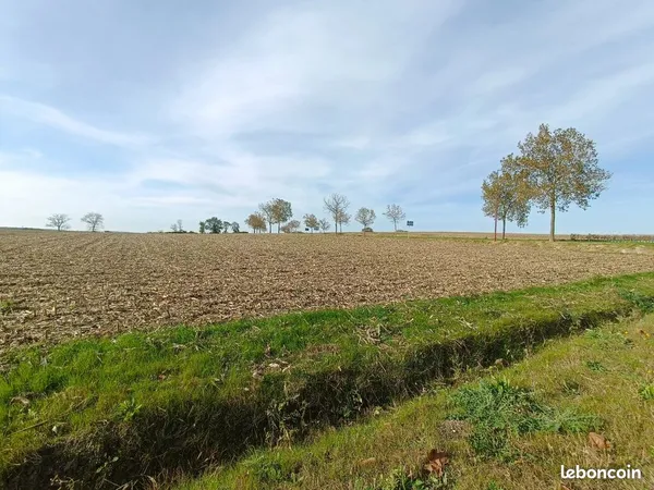 Terrain 11378 m² Mirambeau