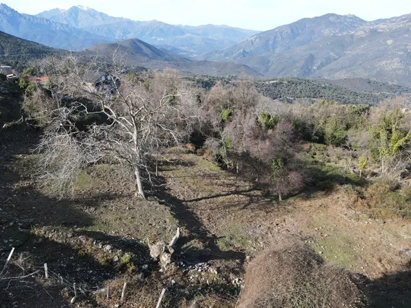 Terrain 944 m²